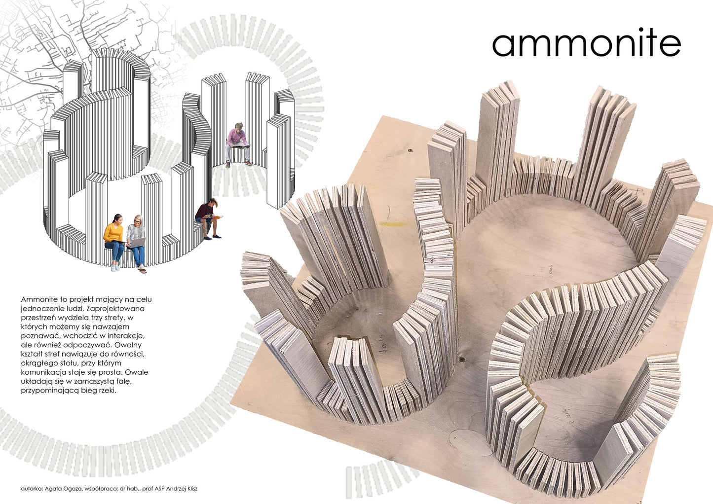 ammonite